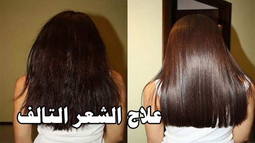 علاج الشعر التالف 2026.. أحدث التقنيات لاستعادة قوة ولمعان الشعر