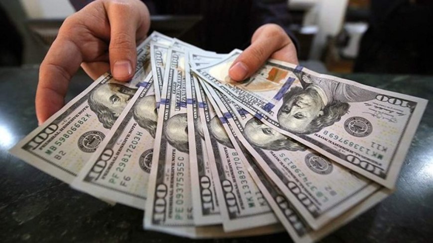 العملة الخضراء تواصل الصعود وتسجل أعلى مستوياتها في أكثر من شهرين وسط ترقب الأسواق
