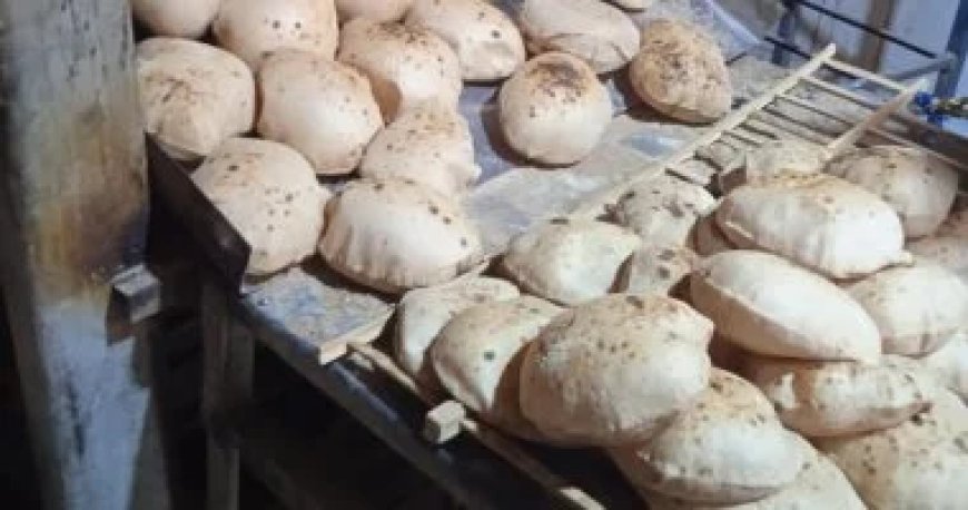 سعر رغيف الخبز المدعم في منظومة الدعم النقدي الجديدة
