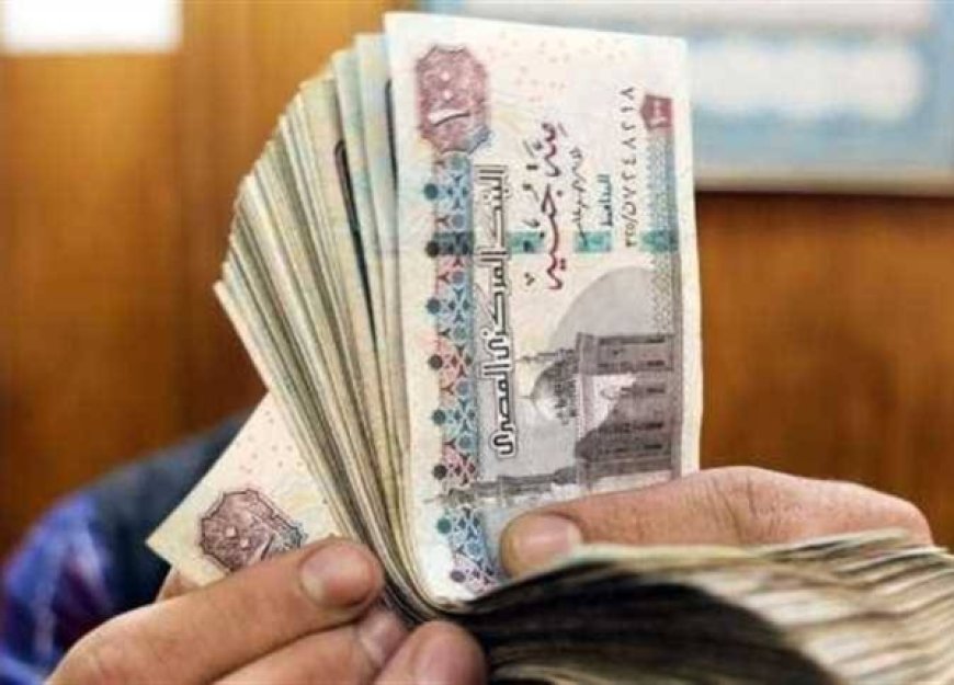شروط الحصول على معاش ربات البيوت 2026.. والأوراق المطلوبة