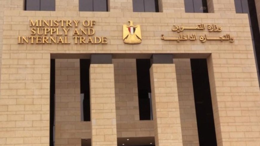 توسع جديد في خدمات السجل التجاري عبر البريد المصري