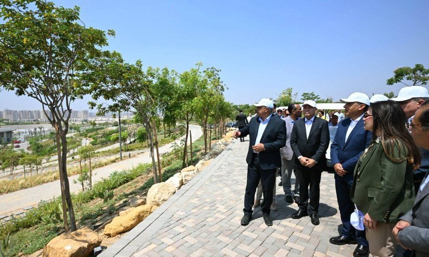 رئيس الوزراء