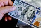 سعر الدولار اليوم الخميس  في مصر 9 يوليو 2026.. آخر تحديث