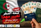 كيفية استخراج بطاقة الدفع الدولية للاستفادة من منحة السفر 750 يورو في الجزائر.. الشروط والأوراق المطلوبة