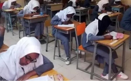 موعد إعلان نتيجة الشهادة الثانوية السودانية 2026.. خطوات الاستعلام
