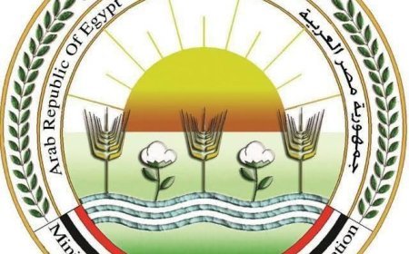 الزراعة: 5 أصناف جديدة ترفع كفاءة الإنتاج المحلي