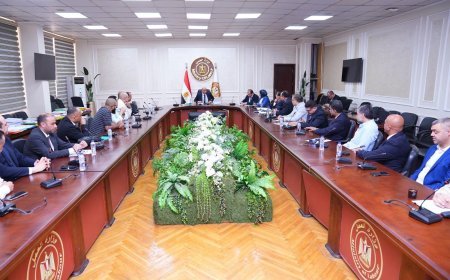 بحلول رقمية.. وزارة العمل تعيد هيكلة منظومة إلحاق العمالة