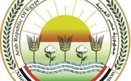 ضبط أكثر من 8 آلاف عبوة مبيدات داخل مصنع غير مرخص