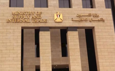 وزارة التموين والتجارة الداخلية تطلق مشروع «كاري أون» لتوحيد الهوية التجارية والتحول الرقمي