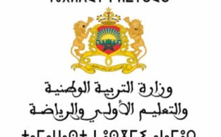 نتائج امتحان الكفاءة المهنية 2025 في المغرب.. رابط الاستعلام وأعداد الناجحين