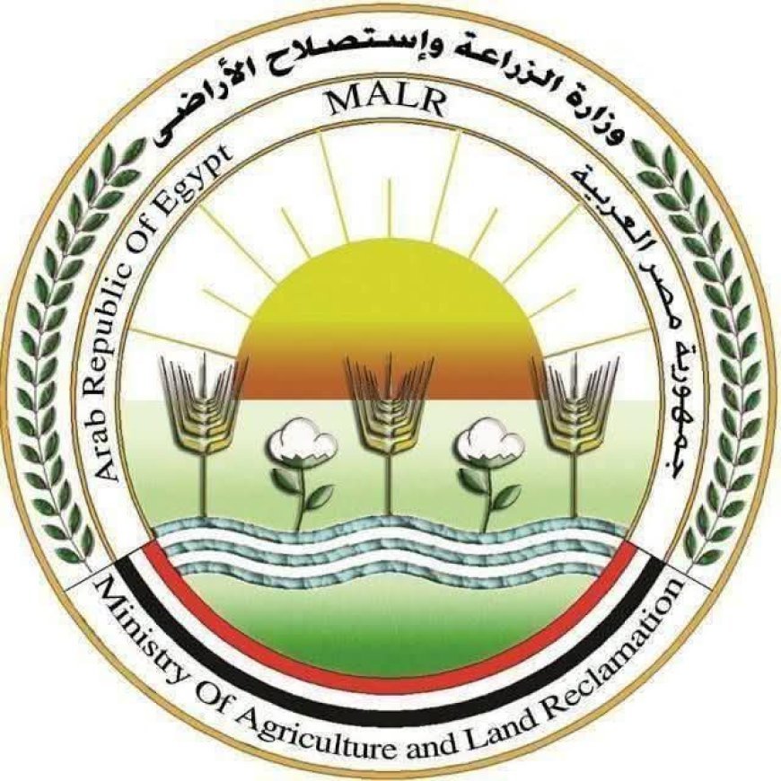 ضبط أكثر من 8 آلاف عبوة مبيدات داخل مصنع غير مرخص