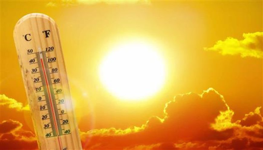 حالة الطقس الأسبوع المقبل.. الأرصاد تكشف تفاصيل الأجواء ودرجات الحرارة حتى 29 يوليو 2026