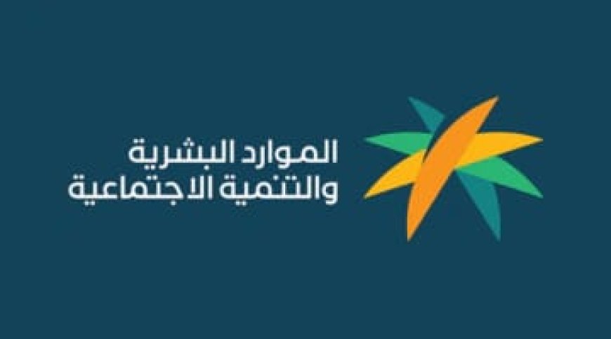 أهلية الضمان الاجتماعي الدفعة 56.. موعد إعلان النتائج وخطوات الاستعلام