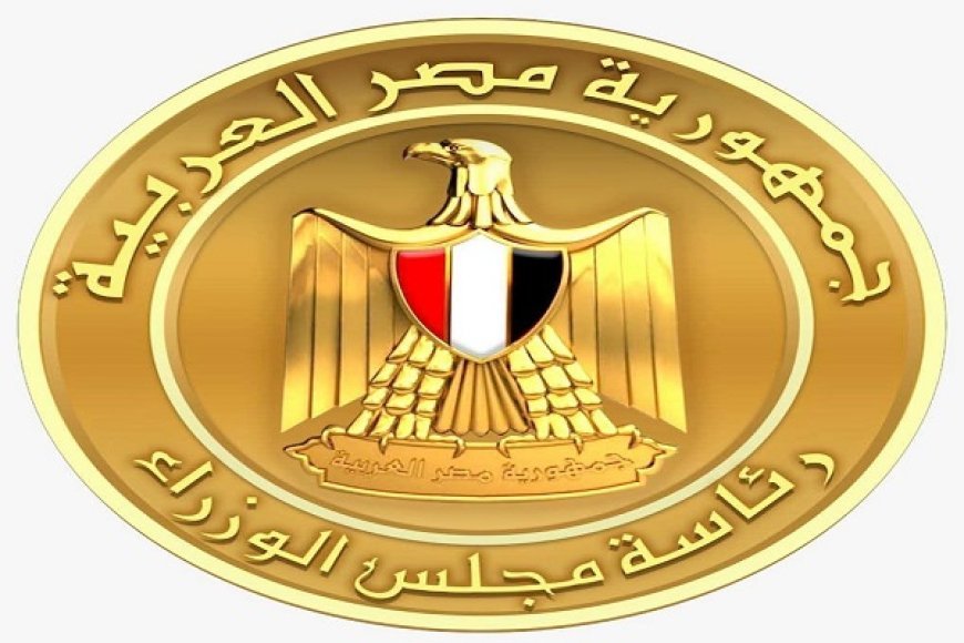 الحكومة: طائرة مسيرة وراء حريق سفينتين بميناء دمياط والتحقيقات مستمرة