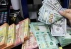 سعر الدولار مقابل الدينار العراقي اليوم.. تحديث البيع والشراء في بغداد وأربيل الثلاثاء 11 أغسطس 2026