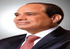 الرئيس السيسي يجدد موقف مصر الداعم لأمن قطر الشقيقة وسائر الدول العربية
