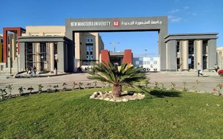 5 منح كاملة بجامعة المنصورة للطلاب المتفوقين.. الشروط والتقديم