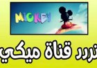 تردد قناة ميكي 2026 على نايل سات ويا سات.. اضبط القناة الآن واستمتع بأفضل أفلام الأطفال