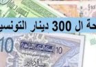 منحة 300 دينار تونس 2026.. رابط التسجيل والشروط وطريقة صرف الدعم