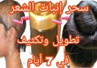 وصفة ورق الغار للشعر.. المكونات وطريقة الاستخدام لترطيب وتنعيم شعرك في دقايق