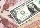 انخفاض 78 قرشا خلال أسبوع.. سعر الدولار مقابل الجنيه المصري