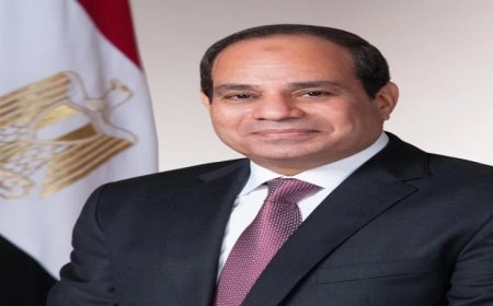 الرئيس السيسي يوجه بتخضير القاهرة وإحياء معالمها التاريخية