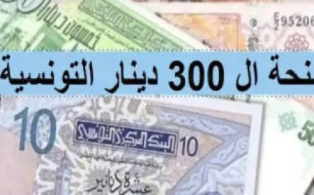 منحة 300 دينار تونس 2026.. رابط التسجيل والشروط وطريقة صرف الدعم