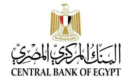 تحويلات المصريين بالخارج ترتفع إلى 29.7 مليار دولار خلال 7 أشهر