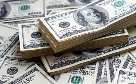 سعر الدولار اليوم مصر الثلاثاء 22 سبتمبر 2026.. تراجع محدود