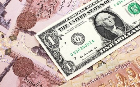 انخفاض 78 قرشا خلال أسبوع.. سعر الدولار مقابل الجنيه المصري