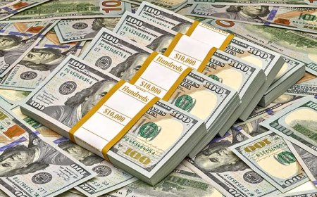 أسعار الدولار اليوم الجمعة 25 سبتمبر 2026 أمام الجنيه المصري