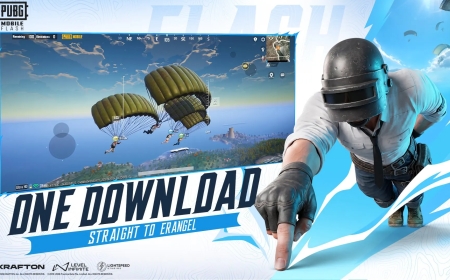 موعد نوفمبر يحسم الجدل.. تنزيل PUBG MOBILE FLASH