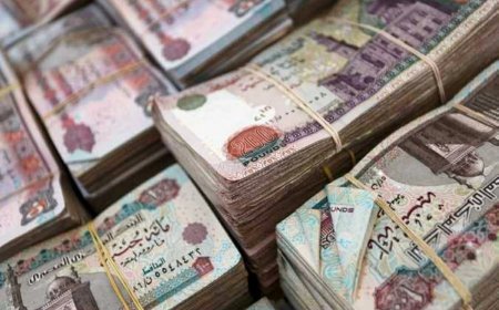 11.5 مليون مستفيد.. معاشات أكتوبر 2026 موعد الصرف وقيمة المعاش