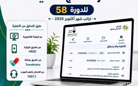 اليوم 27 سبتمبر.. نتائج أهلية الضمان المطور للدورة 58