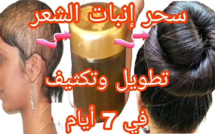 وصفة ورق الغار للشعر.. المكونات وطريقة الاستخدام لترطيب وتنعيم شعرك في دقايق