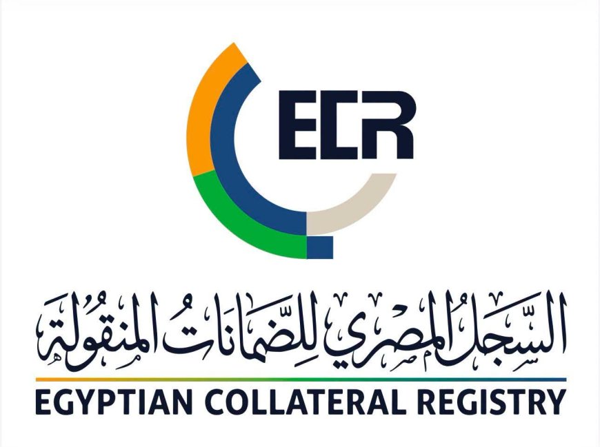 الرقابة المالية تبحث تطوير خدمات السجل المصري للضمانات المنقولة وتعزيز تجربة المستخدمين