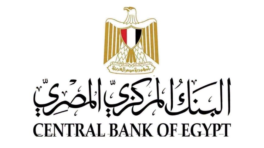 تحويلات المصريين بالخارج ترتفع إلى 29.7 مليار دولار خلال 7 أشهر