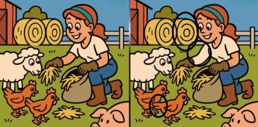 لغز المزرعة والحيوانات
