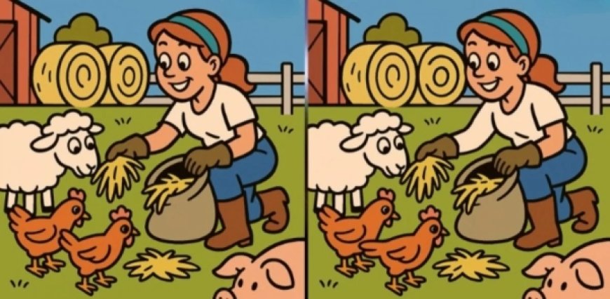 لغز المزرعة والحيوانات