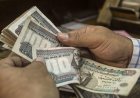 جهزوا نفسكم.. موعد صرف معاشات نوفمبر 2026 وحقيقة الزيادة