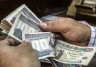 تطبيق الدعم النقدي في 2027.. ما السلع التي ستتغير؟