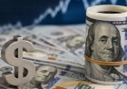 أسعار الدولار اليوم السبت 24 أكتوبر 2026 في البنوك