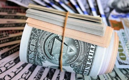 استقرار لافت.. سعر الدولار اليوم في مصر الخميس 1 أكتوبر