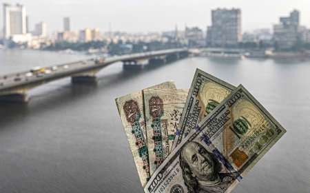 52.27 جنيه للشراء.. ثبات سعر الدولار اليوم الأربعاء في البنوك