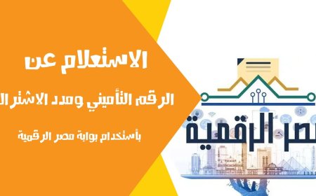 الاستعلام عن الرقم التأميني لأول مرة 2026.. الرابط والخطوات