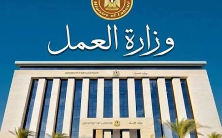 1095 فرصة عمل برواتب 20 ألف جنيه.. الحق  فرصتك قبل فوات الأوان