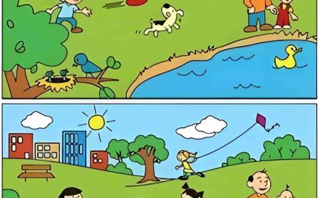 حل لغز الحديقة.. اكتشف الاختلافات الخمسة في 37 ثانية