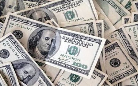سعر الدولار مقابل الجنيه اليوم السبت 17 أكتوبر 2026.. آخر تحديث بالبنوك