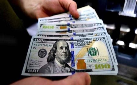 سعر الدولار مقابل الجنيه المصري اليوم الإثنين 19 أكتوبر 2026