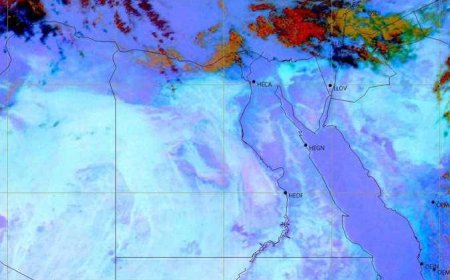 إنذار جوي اليوم الثلاثاء.. شبورة وأمطار ورياح تضرب عدة مناطق